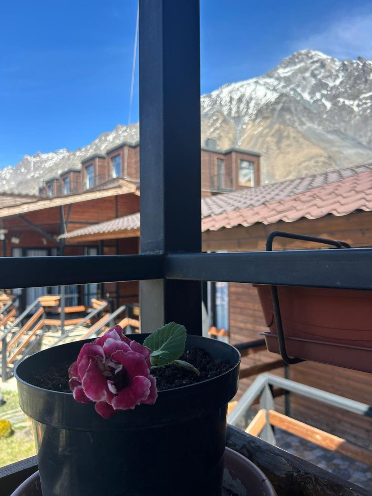 Panorama Cottages Kazbegi Exterior foto